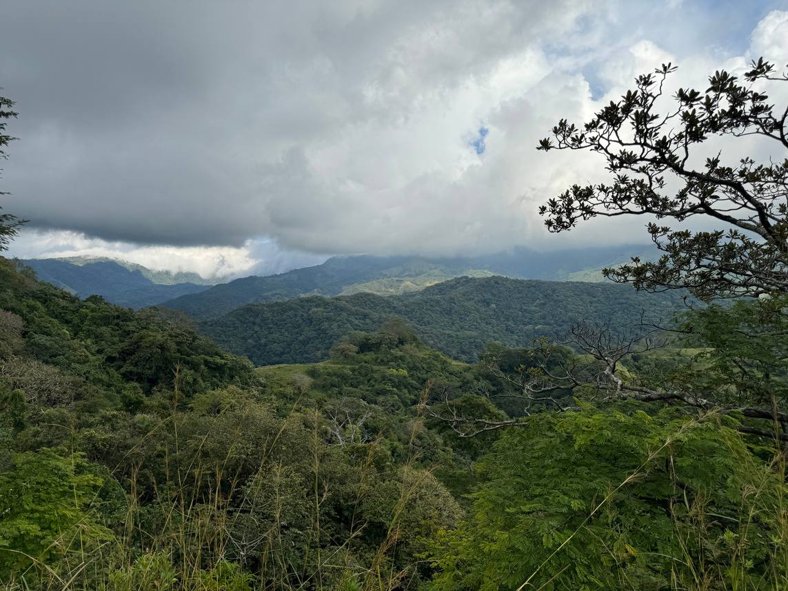 Monteverde cloud forest